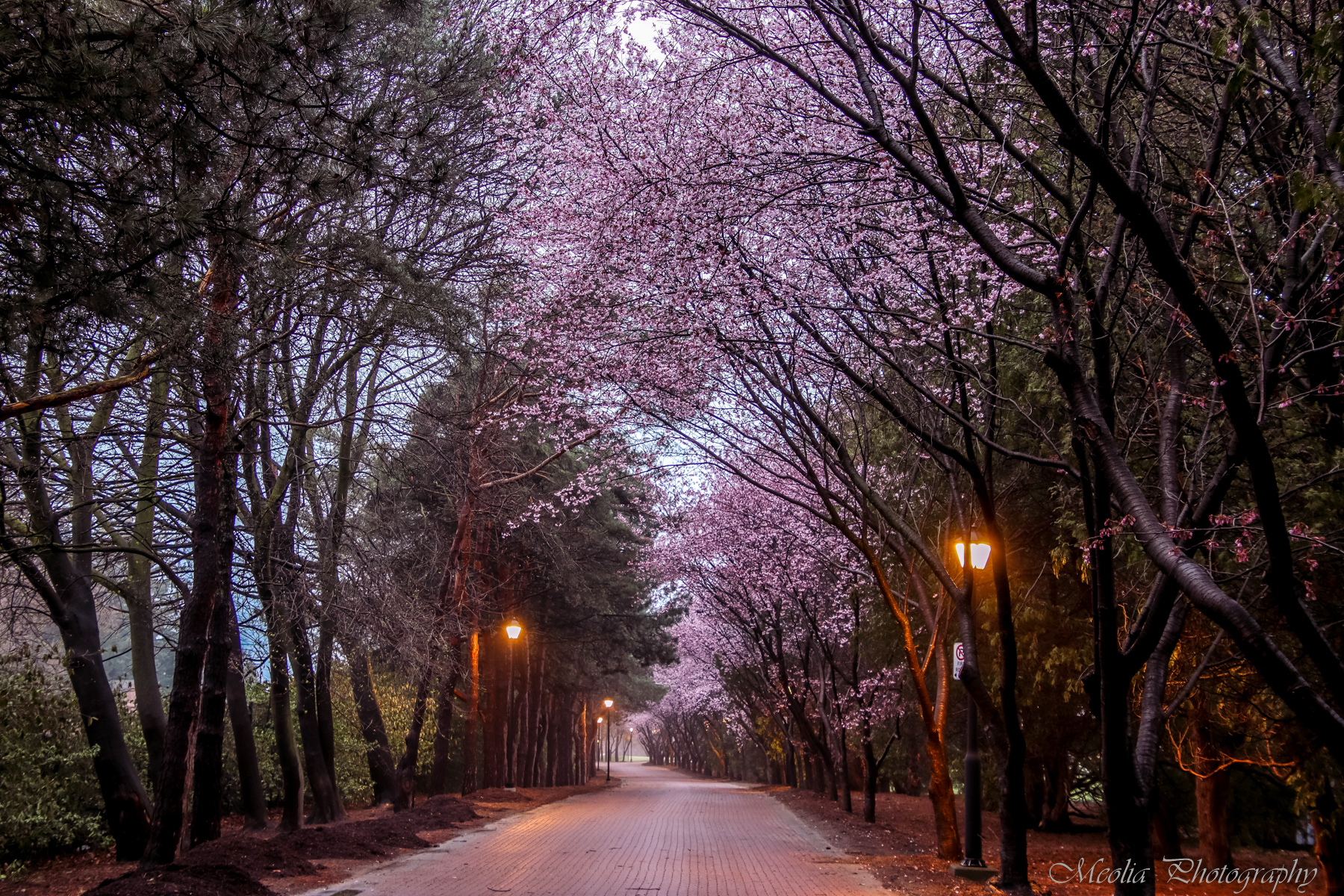 Photography by Olga Vasina