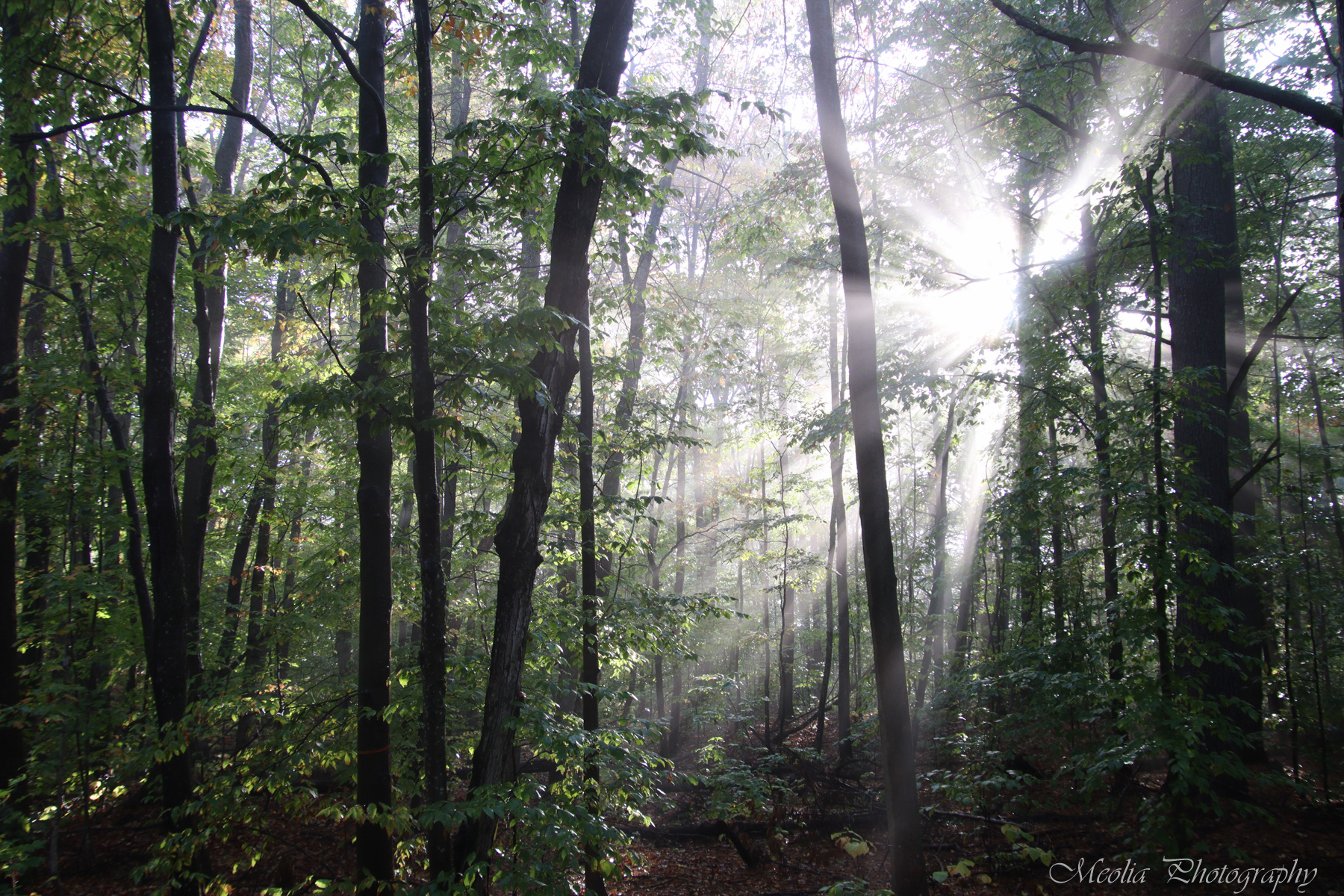 Photography by Olga Vasina